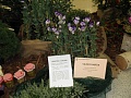 Obr: 23503.jpg