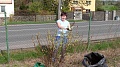 Obr: 25203.jpg