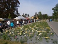 Obr: 25212.jpg