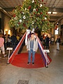 Obr: 25448.jpg