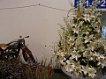Obr: 26965.jpg