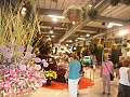 Obr: 26966.jpg