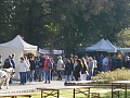 Obr: 27926.jpg