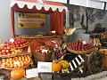 Obr: 27937.jpg