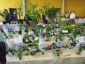 Obr: 29052.jpg
