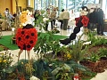 Obr: 29054.jpg
