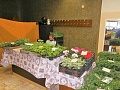 Obr: 29984.jpg