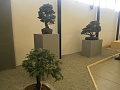Obr: 30090.jpg