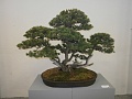 Obr: 30091.jpg