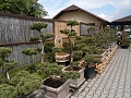 Obr: 30345.jpg