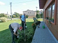 Obr: 31252.jpg