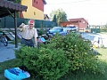 Obr: 31254.jpg