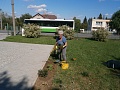 Obr: 31255.jpg