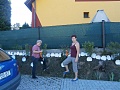 Obr: 31258.jpg