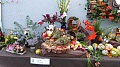 Obr: 34815.jpg