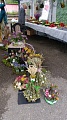 Obr: 40831.jpg
