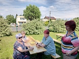 Obr: 42378.jpg