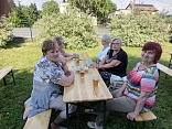 Obr: 42382.jpg