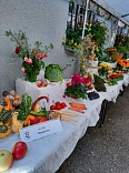 Obr: 42854.jpg