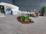 Obr: 42969.jpg