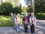 Obr: 43130.jpg