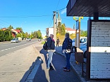 Obr: 44749.jpg