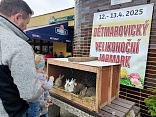 Obr: 47761.jpg