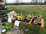 Obr: 47763.jpg