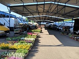 Obr: 48116.jpg