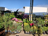 Obr: 48119.jpg