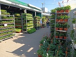 Obr: 48125.jpg
