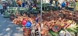 Obr: 52053.jpg
