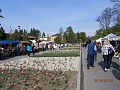 Obr: 8437.jpg