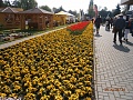 Obr: 8449.jpg