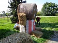 Obr: 8687.jpg