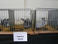 Obr: 8816.jpg