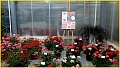 Obr: 21163.jpg