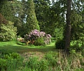 Obr: 25773.jpg