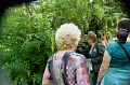 Obr: 25774.jpg