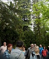 Obr: 25777.jpg