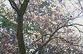 Obr: 25778.jpg