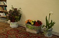 Obr: 25899.jpg