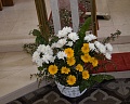 Obr: 25904.jpg