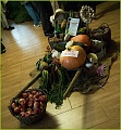 Obr: 27771.jpg