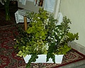Obr: 30537.jpg