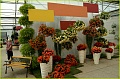 Obr: 30680.jpg