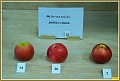Obr: 40923.jpg