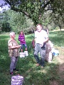 Obr: 37882.jpg