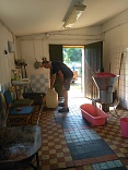 Obr: 46323.jpg