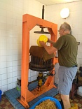 Obr: 46325.jpg